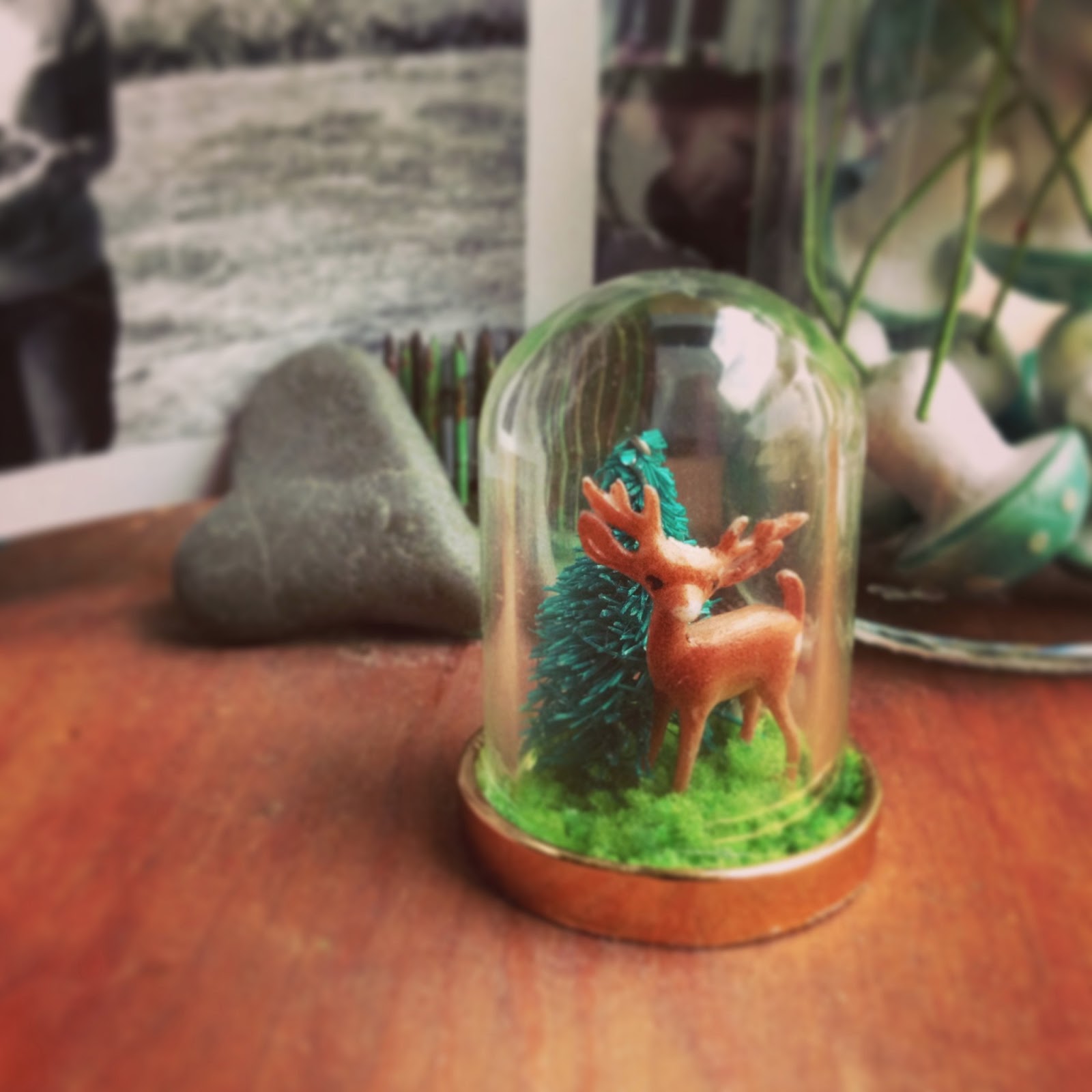 OmMama and KraftyKatina Tiny Terrariums